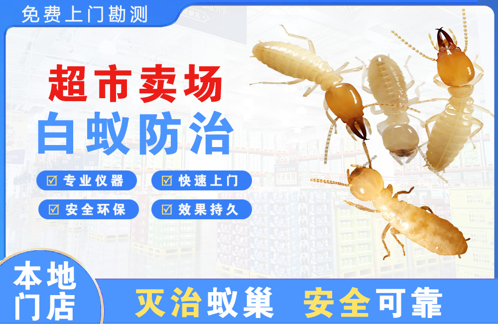 阳江超市卖场白蚁防治
